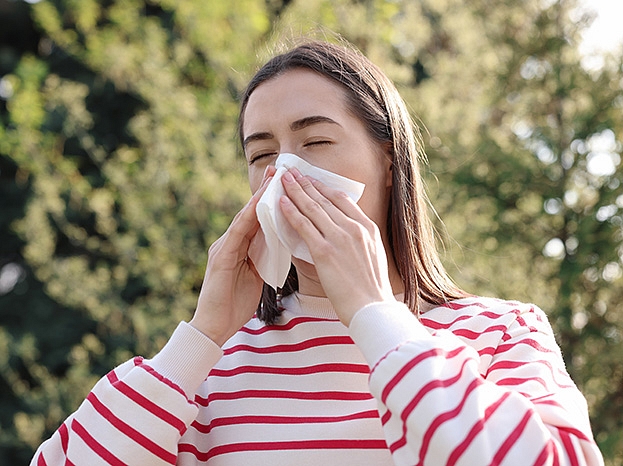 Autors: Shutterstock.com