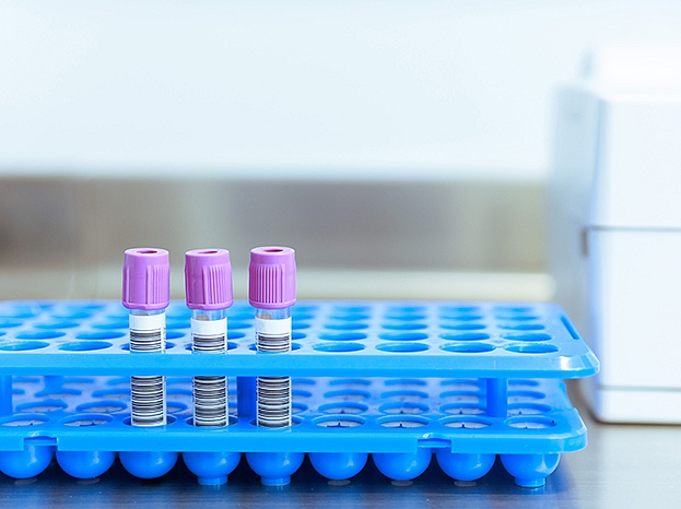 Autors: Shutterstock.com