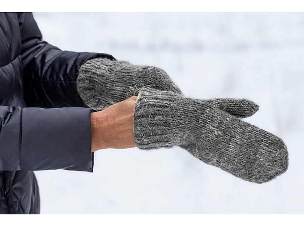 Autors: Shutterstock.com