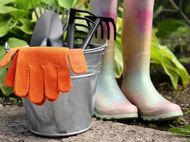 Autors: Shutterstock.com