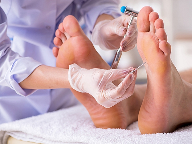 Autors: Shutterstock.com