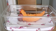 Bērnu slimnīcas priekšlaikus dzimušo bērnu gultiņu iegādei iedzīvotāji saziedojuši vairāk nekā 40 000 eiro