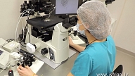 Kā Tev var palīdzēt embriju ģenētiskā pārbaude IVF cikla ietvaros

