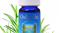 Oshadhi tējas koka ēteriskā eļļa