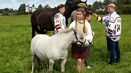 Profesiju klasifikatoru papildina ar piecām profesijām