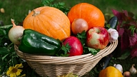 5 dabas veltes, ko ieteicams iekļaut rudens ēdienkartē

