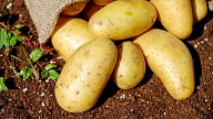 Kartupeļi ēdienkartē – cik veselīgi? 