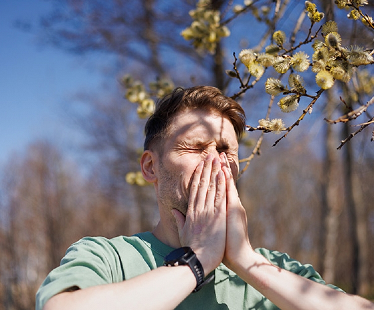Alerģiju sezona ieilgst: kā sevi pasargāt laikus