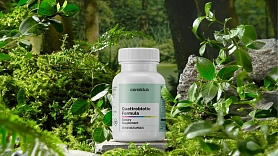 Otrās smadzenes zarnās: kā mikroflora var ietekmēt mūsu pašsajūtu
