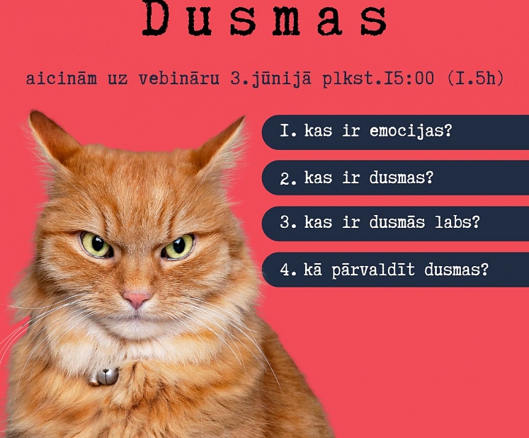 Vebinārs: "Dusmu spēks: kā tās saprast un pārvaldīt"