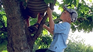 Bērni traumas visbiežāk gūst pusaudžu vecumā