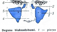 DEGUNA BLAKUSDOBUMI