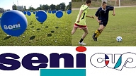 Seni Cup 2010