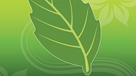 Tradicionāli un dabiski produkti Jūsu veselībai no interneta veikala www.unifarma-herbals.lv