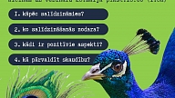 Salīdzināšanās un skaudība
