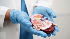 Mīti un patiesība par orgānu ziedošanu un transplantāciju: Skaidro speciālisti