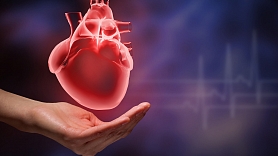 Cik nozīmīgs ir troponīna I līmenis sirds slimību risku izvērtēšanā? Skaidro ārsti