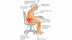 Trenējies, lai sēdētu! 