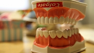 LM vēlas panākt valsts finansiālu atbalstu zobus zaudējušo senioru žokļu protezēšanai