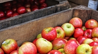 3 iemesli, kādēļ āboli ir vērtīga ēdienkartes sastāvdaļa