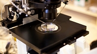 ZVA: Sāk piemērot jauno in vitro diagnostikas medicīnisko ierīču regulu