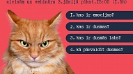 Vebinārs: "Dusmu spēks: kā tās saprast un pārvaldīt"