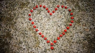 Aktualizējot jautājumus par sirds un asinsvadu veselību, kampaņā aicinās mīlēt savu sirdi