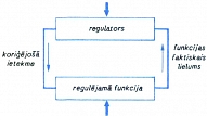 PAŠREGULĀCIJA