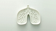 Rētaudu veidošanās plaušās: intersticiāla plaušu slimība