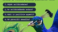 Salīdzināšanās un skaudība