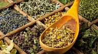 Aptauja: 26% Latvijas iedzīvotāju ārstniecības augu tējas iegādājas aptiekā