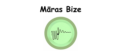 Māras Bize, SIA Māras Bize, SIA