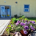 Sociālā rehabilitācija