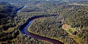 Čiekurlaivas jaunumi