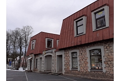 Initas Lēnas Goldšteinas ārsta prakse psihoterapijā