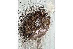 Kaitēkļu iznīcināšana Rīgā