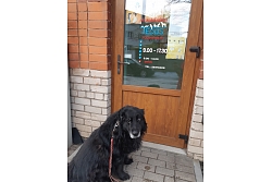 Veterinārā klīnika Cēsīs
