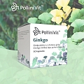 PolliniVit Ginkgo