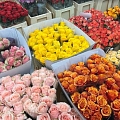 Ziedu tirdzniecība