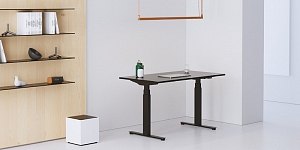 Kāpēc Standesk?