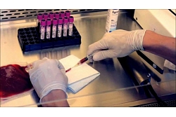 Laboratorija