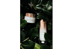 Celltermi mist Mitrināšana