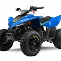 CFMOTO CFORCE 110, FFF Motors