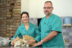 Veterinārā aptieka