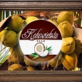 Kokosriekstu eļļa