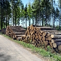 krautuve