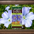 Latgales linsēklu eļļa
