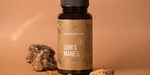 Lion's Mane ekstrakts