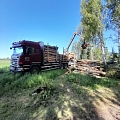 Mežizstrādes transports kokmateriālu pārvietošanai