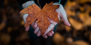 Labas psihiskās pašsajūtas saglabāšana rudenī jeb kāpēc ir svarīgi socializēties arī lietainās rudens dienās